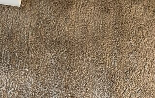 carpet repair dr spot carpet cleaning