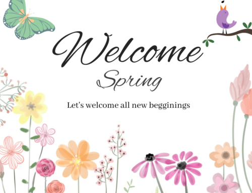 Why Spring is the Perfect Time for Carpet Cleaning