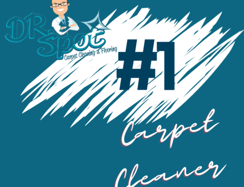 How to Choose the Right Carpet Cleaning Company in Virginia Beach
